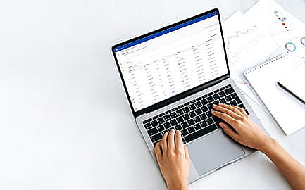 Person arbeitet an einem Laptop mit geöffneter Tabellenansicht.