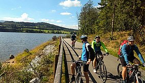 Combeenation team on the bike path near the Vltava river