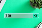 Suchmaschine in der das Wort B2B eingegeben wird.